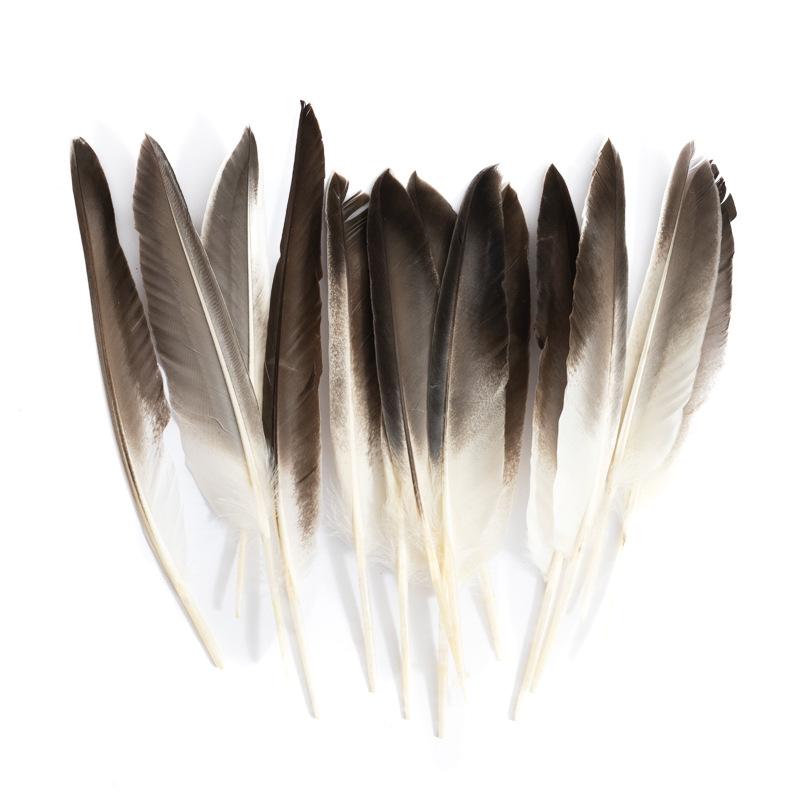 80 Natural Pheasant Feather Decorative Diy Jewelry Hair Accessories Material Cat Stick Toy Accessories