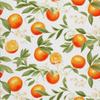 Outdoor Dekostoffe Oxford - Motiv Obst | Dx6462