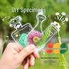 Transparent Specimen Bottle with Pressed Flowers - DIY Bookmark for Students