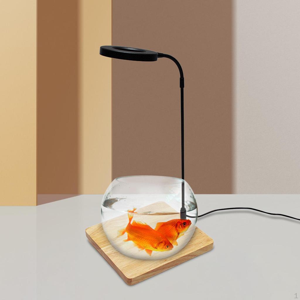 Aquarium Light Plant with Stand Fish Tank Board for Potted Plants