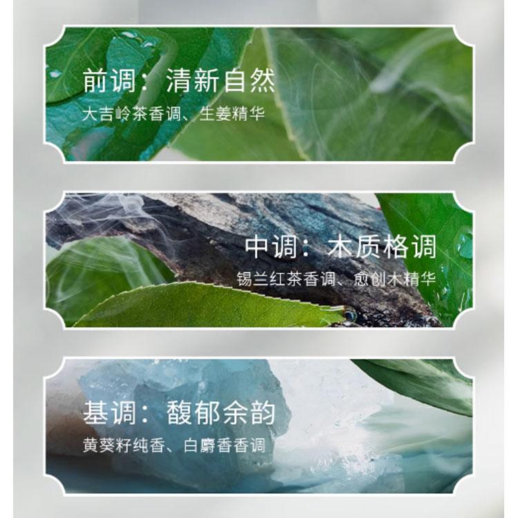 BVLGARI Darjeeling Tea With Rich Aroma Sample Pack EDP Woody Tones 5ml Birthday Gift For Boyfriend