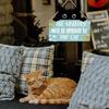 Natural Wood Cats Greeting Sign Pet Welcome Sign Plaque Wall Hanging Decoration Perfect For Pet Lover And Warm Space