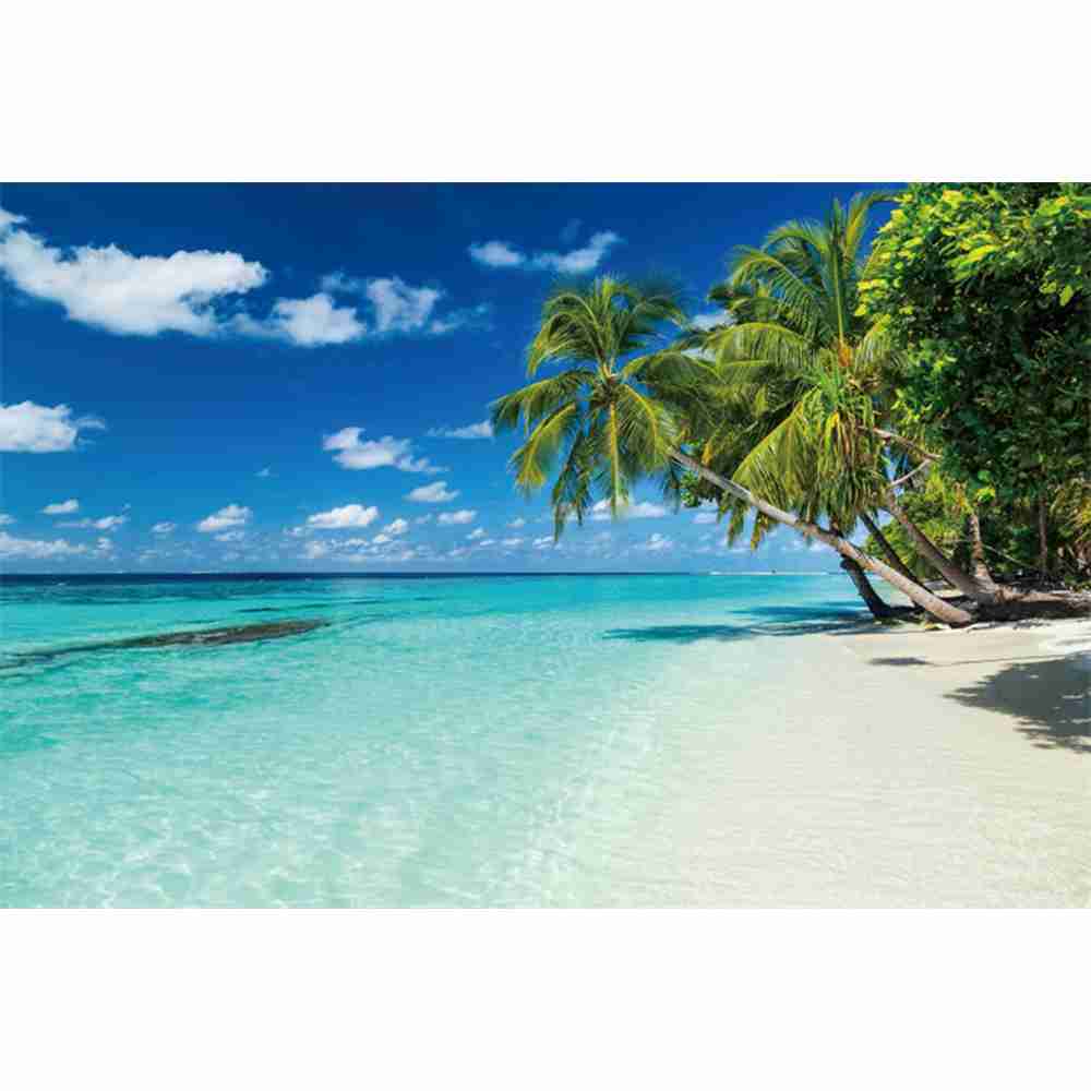 Sommer Strand Wellen Palmen Blauer Himmel Sonnenaufgang Ozean Thema Kulisse, Geburtstagsparty, Heimdekoration Fotografie Kulissenstoff