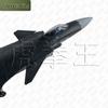 J-20 Stealth Fighter Diecast Model