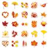 50 Sheets of Autumn Leaf Cartoon Stickers - Waterproof and Decorative for Computers, Phones, Planners
