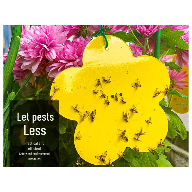 Sticky Trap Double-Sided Yellow & Blue Insect Lure for Greenhouses - Essential for Fruit Fly, Thrips, and Household Pest Control.