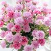 artificial flowers small carnation Christmas Wreath Home Needlework Handicraft Wedding arch Decor Artificial Flower Scrapbook