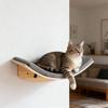 Cat Wall-Mounted Set with Hammock Stairs and Cat House Pet Furniture Accessory for Strolling and Play