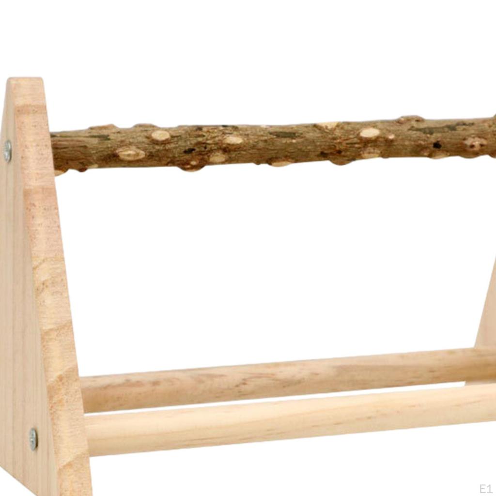Bird Activity Center for Small Parrots - Interactive Gym Stand with Chewing Toys
