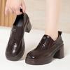 Women's High-heeled Leather Shoes, Spring and Autumn Single Shoes, Chunky Heels, Thick Soles, Slip-on Women's Shoes, Square Toe Leather Shoes