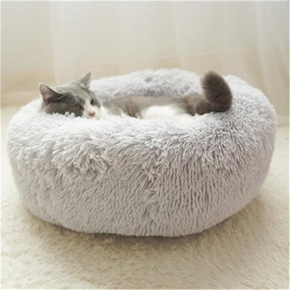S Husky Cat Blanket Dog Blanket for Bed Couch Sofa Floral Mum Flower Bohemia Pet Blanket for Kitten Puppy and Other Small Animals 40x60in 2040107 S Husky Cat Blanket Dog Blanket for Bed Couch Sofa Floral Mum Flower Bohemia Pet Blanket for Kitten Puppy and Other Small Animals 40x60in 2040107