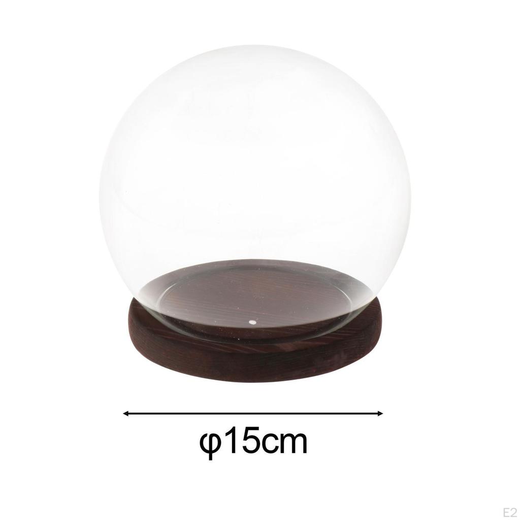 Glass Dome with Base Display DIY Valentines Day Gifts Showcase Decor Decorative