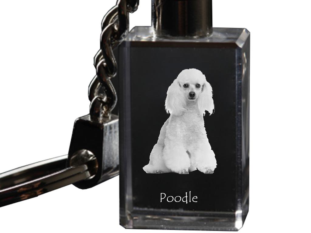 Poodle - Crystal Key Ring with Dog Photo, Illuminated Key Ring, Unique Gift by Art-Dog Brand