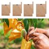 100PCS Breathable Fruit Development Bag Against Insect Promote Growth Anti-Bird Pouch Waterproof Protection Bag Fruit Growth