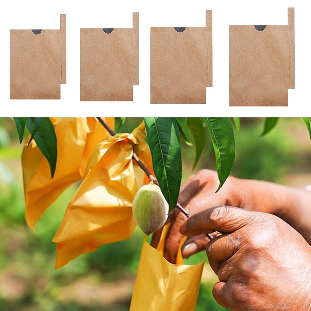 100PCS Breathable Fruit Development Bag Against Insect Promote Growth Anti-Bird Pouch Waterproof Protection Bag Fruit Growth
