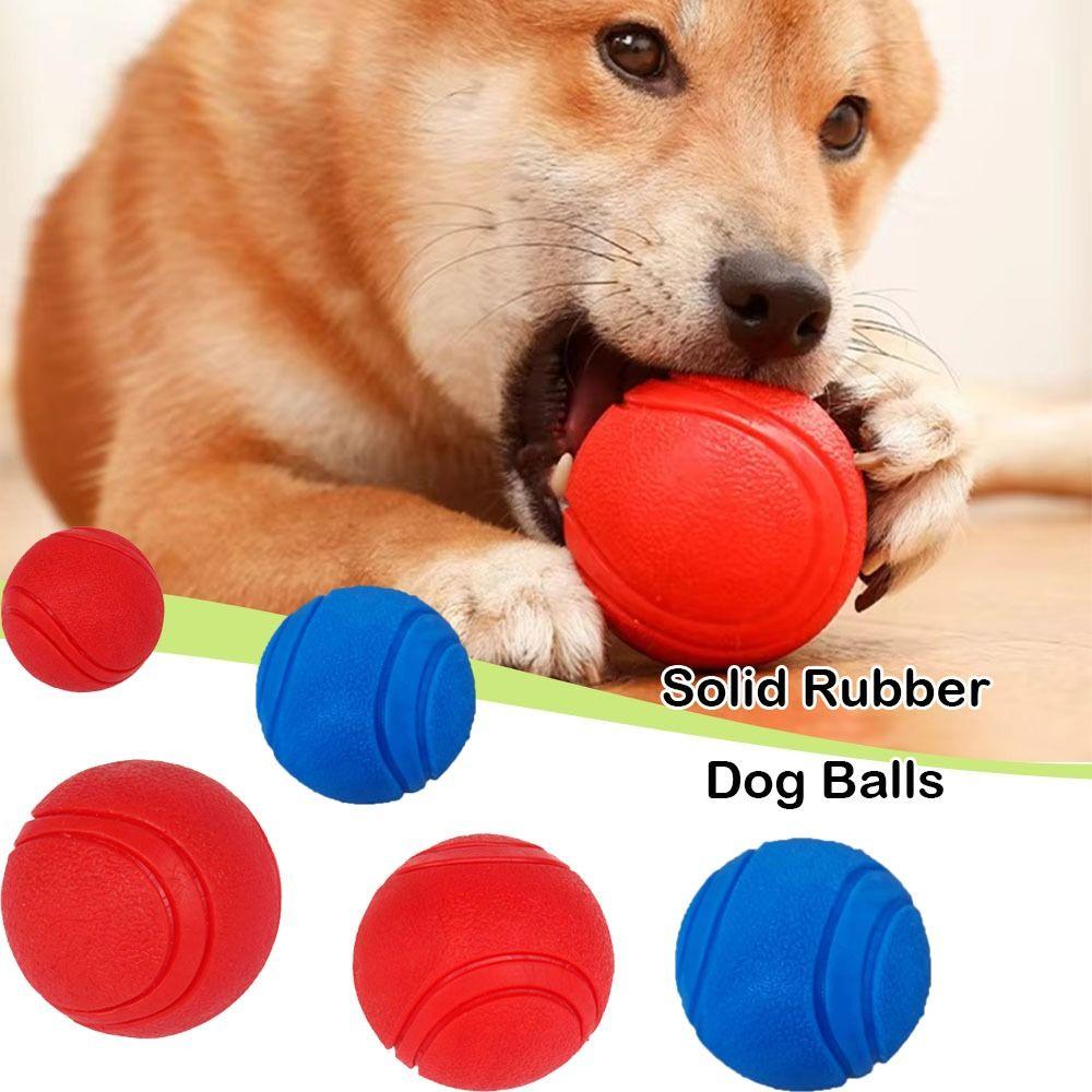 Bite Resistant Indestructible Bouncy Ball Dog Chew Toys Dog Training Interactive Ball Pet