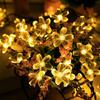 Illuminazione – Decorazioni luminose