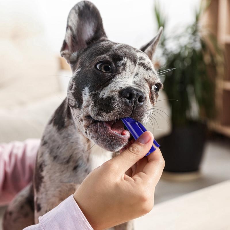 Pet Toothbrush Toothpaste Finger Set Dog Healthy Edible Toothpaste Small Dog Cats Mouth And Teeth Cleaning And Care Supplies