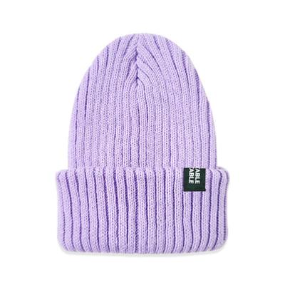 VEGETABLE TABLE Vegetable Palette Color Beanie Purple