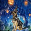 Funny Pumpkin Pet Halloween Costumes Cape Bat Adjustable Cats Cosplay Clothes Black Soft Halloween Pet Apparel Party