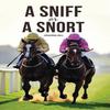 A Sniff or a Snort by Joanna Hill Paperback Book 9781037105234