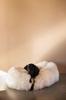 Oval Natural Sheepskin Pet Bed - White 80 cm