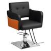 Styling Chair Hair Salon Chair, Stylist with Heavy Duty Hydraulic Pump, 360 Degrees Rolling Swivel Hairdressing Beauty Equipment, Max Load Weight 330