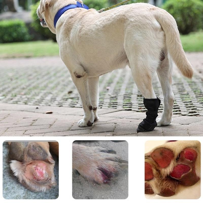 Dog Paws Protector Boot Large Size Water Resistant Soft Protective Shoe for Dog Paws Care Breathable Pet Footwear