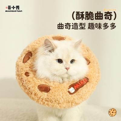 Gatos – Cuidados de gatos