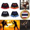 Fire Muay Thai Kickboxing Boxing Training Print Shorts Martial Art Boxer Unisex Men Women Kid Pants Fighting Fitness Gym Sport Workout