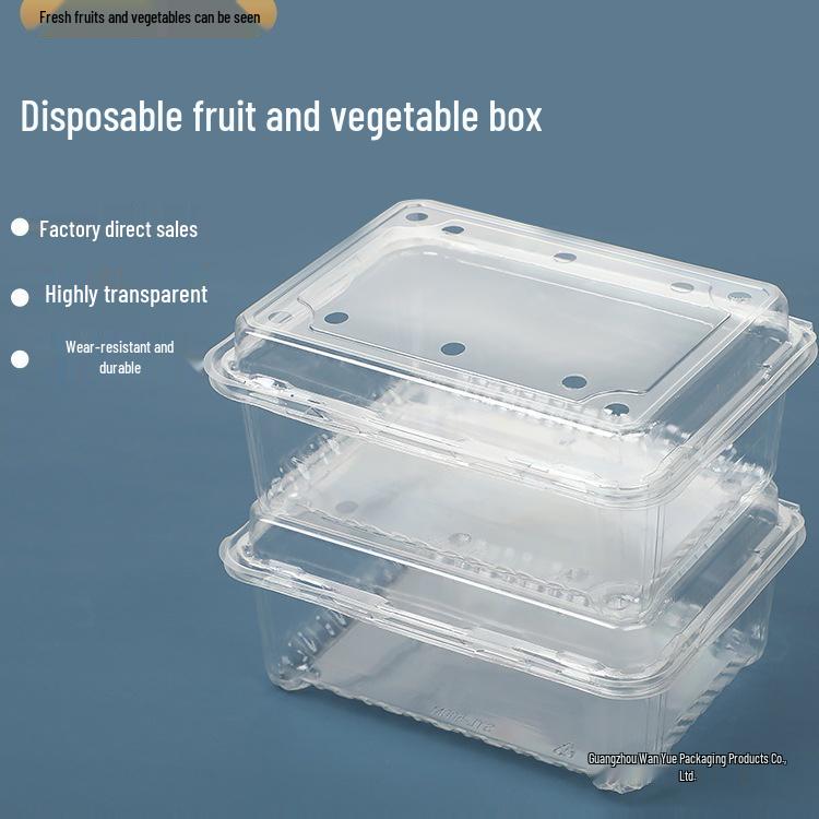 Transparent Disposable Fruit Box with Lid – Food-Grade Plastic, Rectangular, Sturdy for Takeaway, Ideal for Strawberries or Cut Fruit
