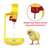 50PCS Chicken Automatic Drinking Cup Plastic Nipple Hanging Cup Drinking Bowl Water Supply Poultry Quail Chick Drinking Tool