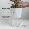 3/6pcs Lazy Hydroponic Flower Pot Automatic Water-Absorbing Flowerpot Transparent Double Layer Plastic Self Watering Planter