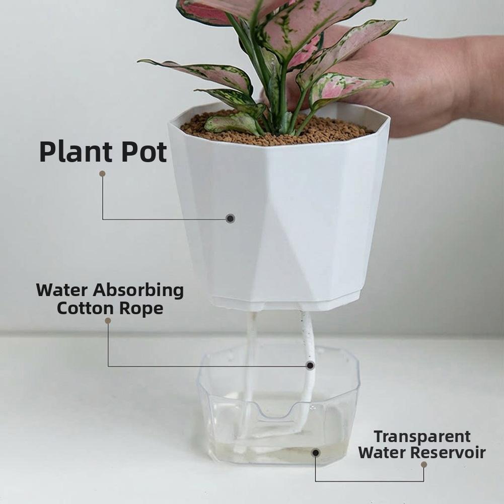 3/6pcs Lazy Hydroponic Flower Pot Automatic Water-Absorbing Flowerpot Transparent Double Layer Plastic Self Watering Planter