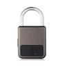 Portable Anti-theft Fingerprint Smart Padlock USB Charging Waterproof Keyless Mini Electronic Locker For Bike Gym Locker Luggage