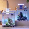 Small Aquariums Set With Integrated Noise Without Air Pumps and Energy Efficient Light For Small Space Environment