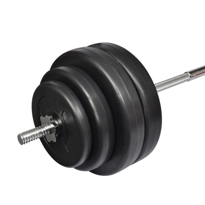 VidaXL Haltère Curl avec Poids Disques à Revêtement Plastique Gymnase Sport 90372