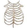 Gothic Style Skeleton Harness PU Skeleton Costume Accessory Creative Cosplay Costume Prop  Party