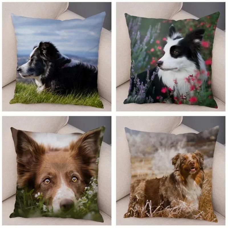 Cute Scottish Border Collie Pillowcase Dog Print Decor Pet Animal Cushion Cover Sofa
