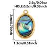 2pcs Different Shape Transparent Drip Oil Abalone Shell Charm Stainless Steel Charms For Jewelry Making Pendant DIY Accessories