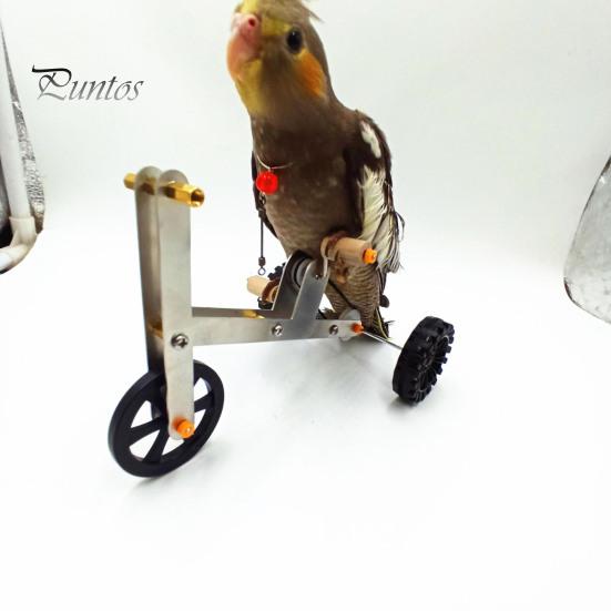 Vogel Fahrrad Spielzeug 1 Set Papagei Training Lustiger Wellensittich Nymphensittich Wellensittich Fahrrad Mini Metall 4 Räder Fußtraining Lernmaterialien Fahrradförmig