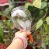 850ml Self Watering Water Ball Slow Release Irrigation Spikes Plastic Watering Bulbs For Indoor Garden Yard Backyard Plants