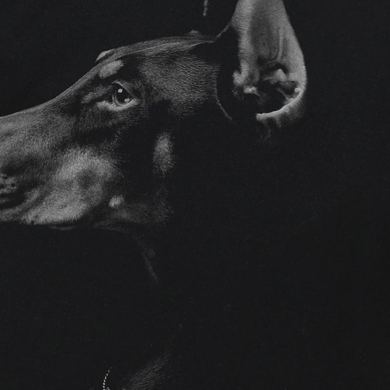 Streetwear Dobermann Graphic T-Shirt Cotton Unisex Tops Tees Summer Short Sleeves T Shirt