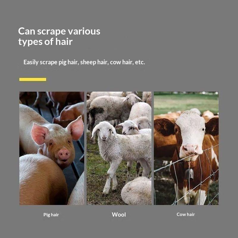 Stainless Steel Hog Scraper Drill Attachment Fast Pig Cattle Hair Remover for Home Slaughter Livestock Processing Use