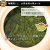 Adding color to your Tokoname ware made in Features a tea life flat-shaped teapot, off-white, 270ml, Japan. built-in strainer.