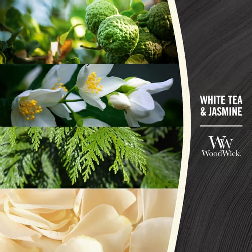 WoodWick Small White Tea & Jasmine Jar with Aromatherapy Candle
