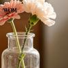 Multi-purpose Plant Container Small Vases for Flowers, Mini Clear Glass Bud Vases, Unique Artistic Vase Flower Wedding Table Centerpiece Home