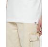 Dickies Short Sleeve Park T-Shirt