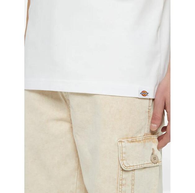 Dickies Short Sleeve Park T-Shirt
