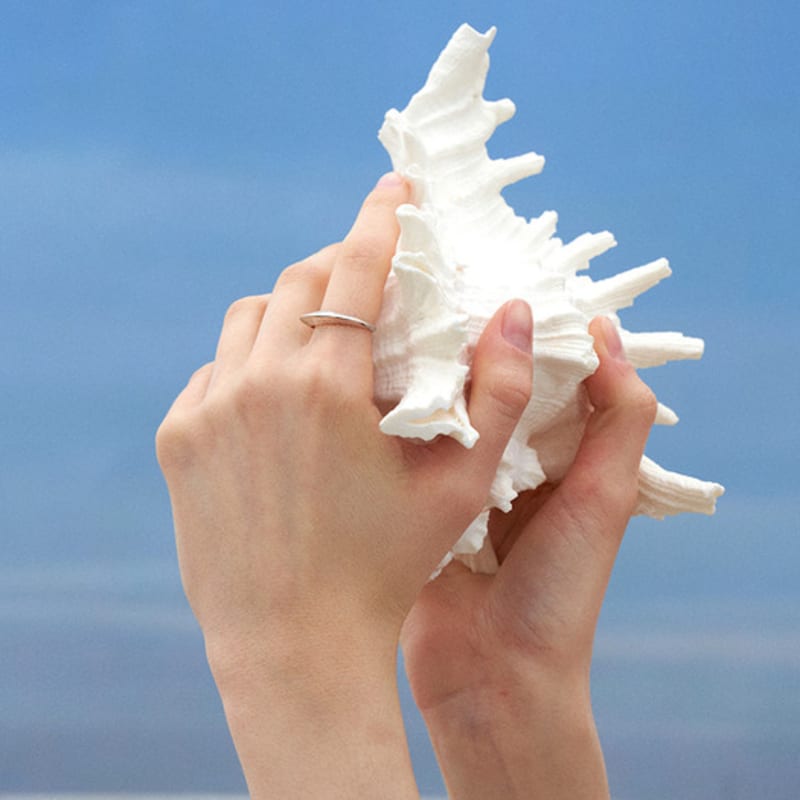 

cotoit Shell Ring GOLD